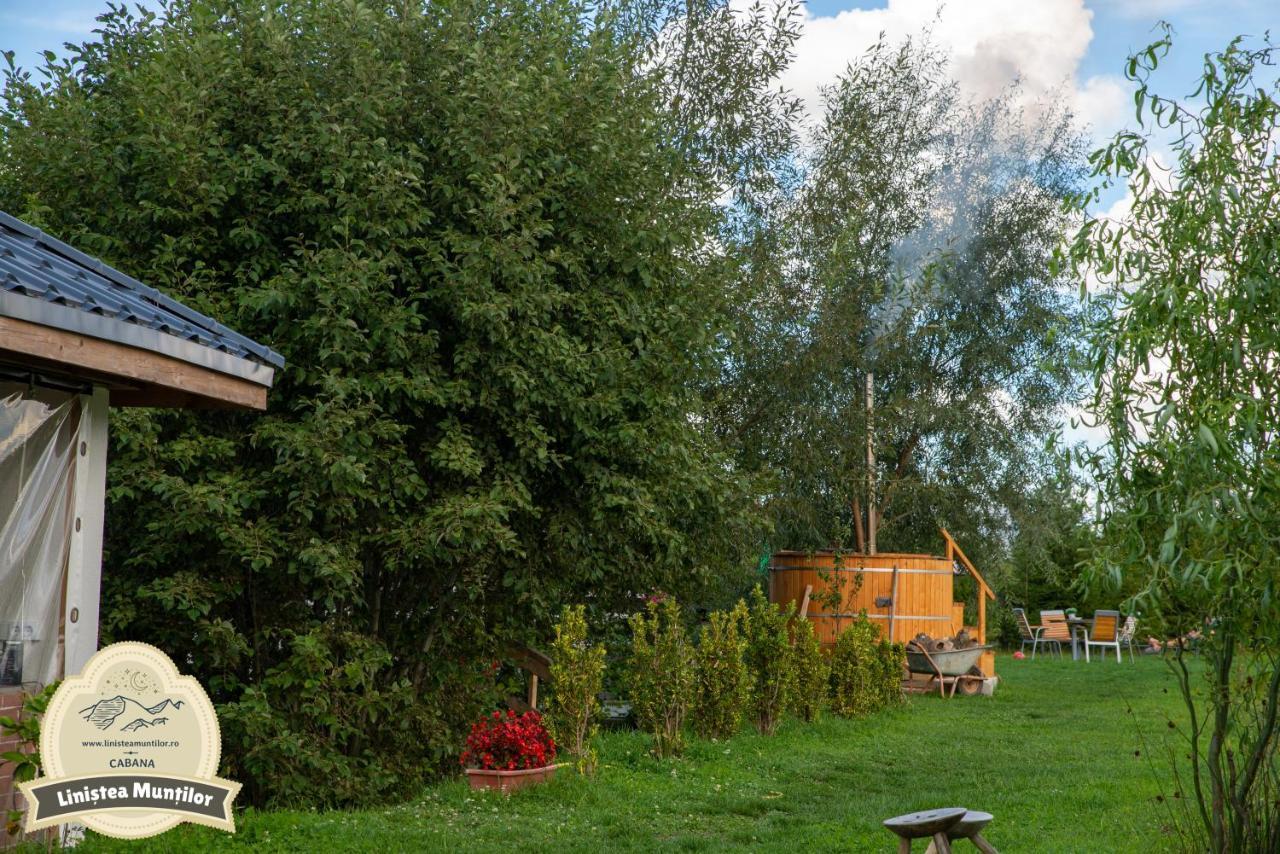 Linistea Muntilor Chalet Porumbacu de Sus Exterior foto